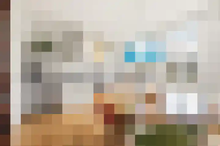 Amstelkade 123 3 Amsterdam thumbnail 17