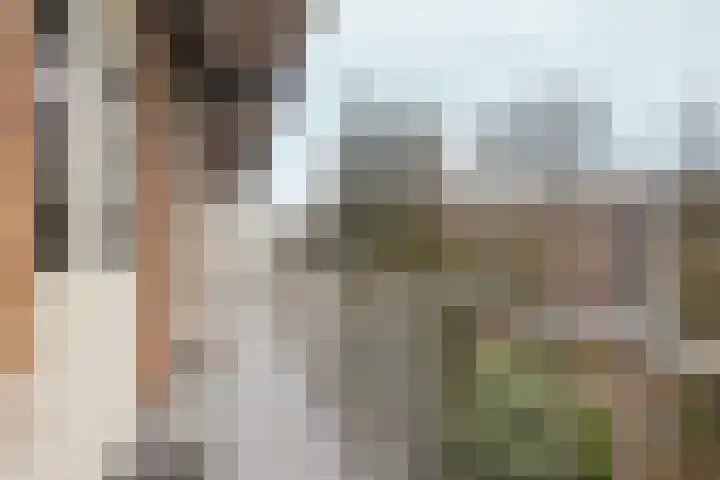 Amstelkade 123 3 Amsterdam thumbnail 23