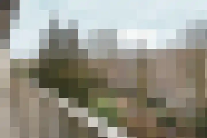 Amstelkade 123 3 Amsterdam thumbnail 24