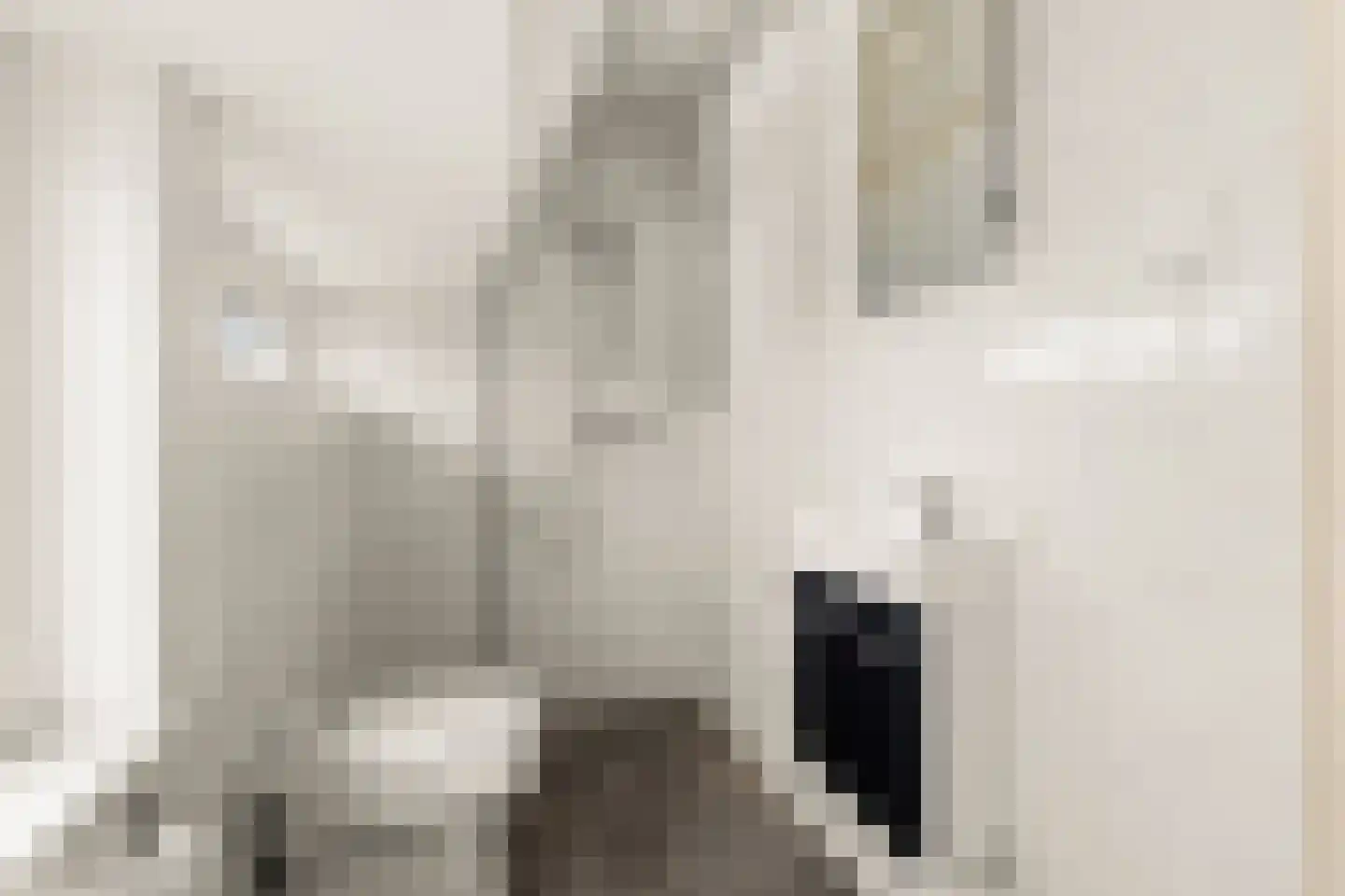 Amstelkade 123 3 Amsterdam thumbnail 45