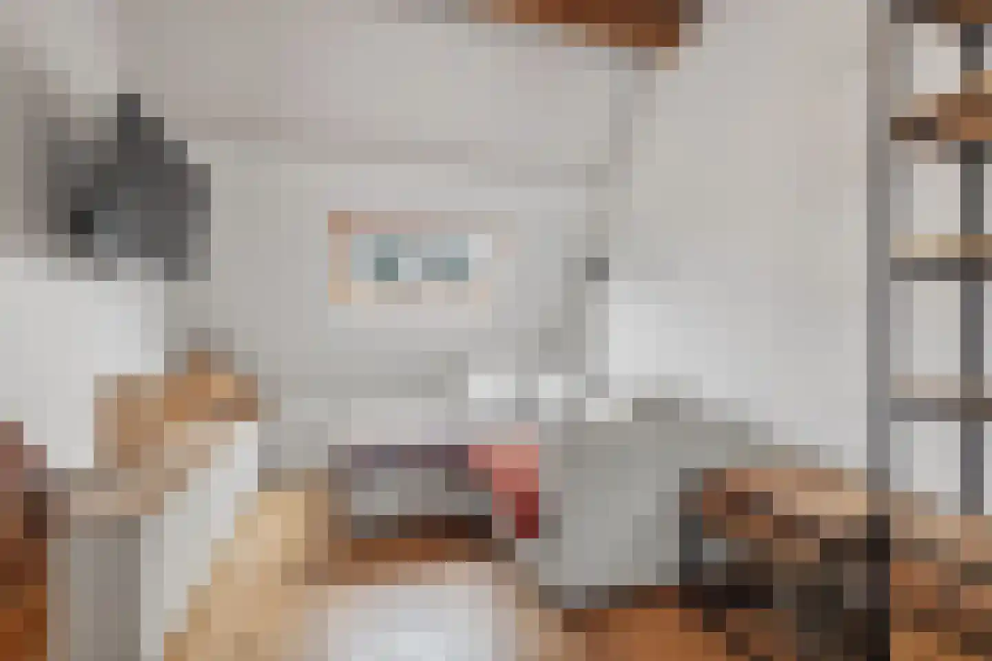 Amstelkade 123 3 Amsterdam thumbnail 52