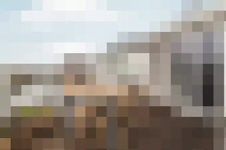 Amstelkade 123 3 Amsterdam thumbnail 65