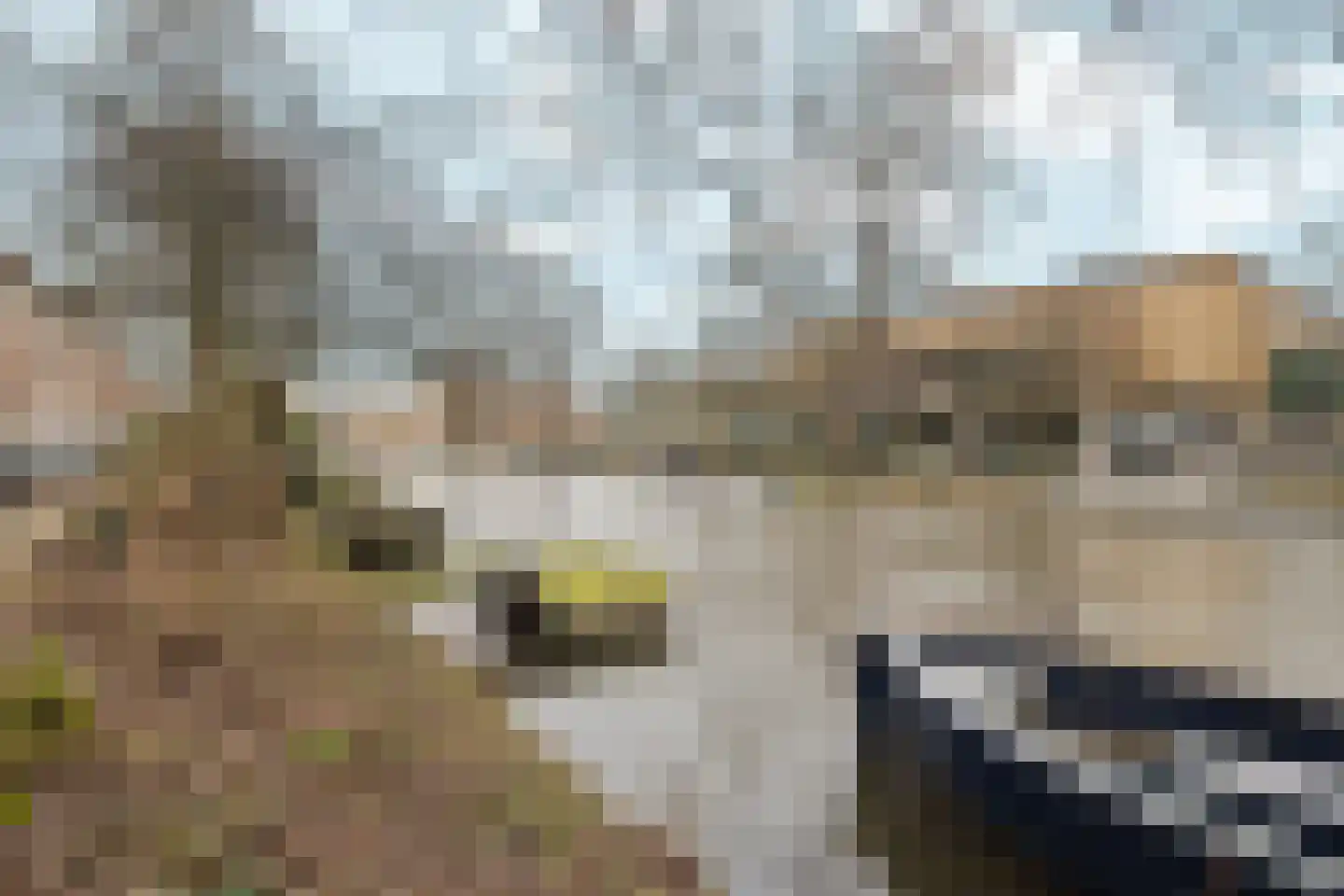 Amstelkade 123 3 Amsterdam thumbnail 71