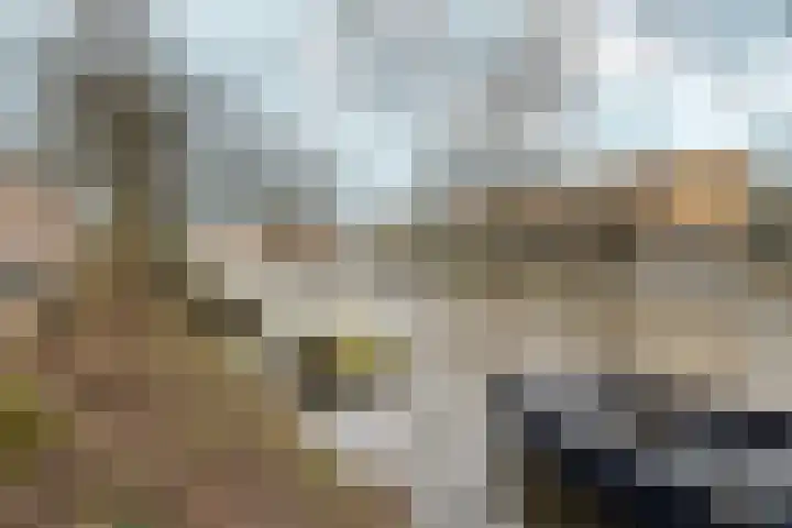 Amstelkade 123 3 Amsterdam thumbnail 71