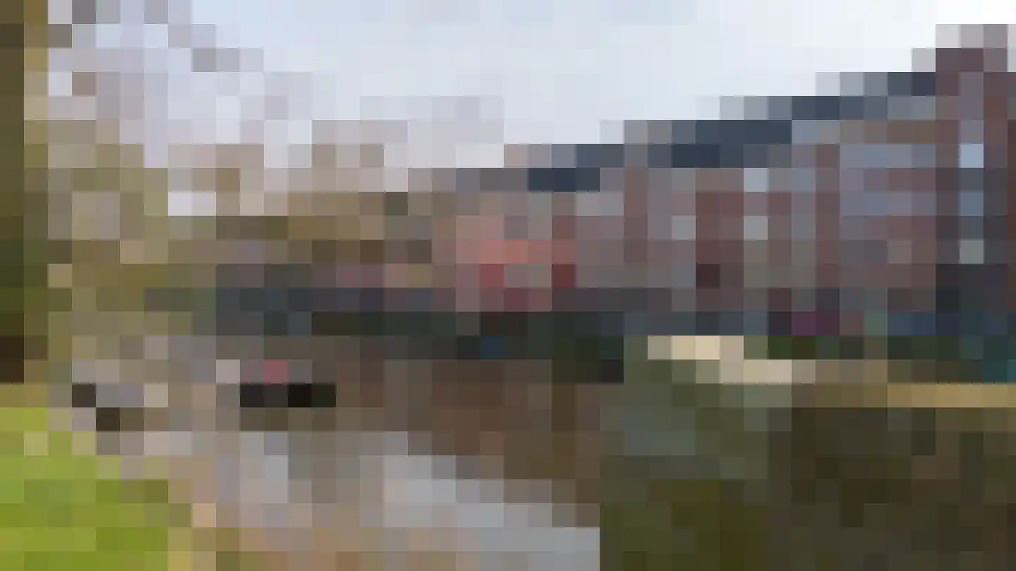 Amstelkade 137 1 Amsterdam thumbnail 22