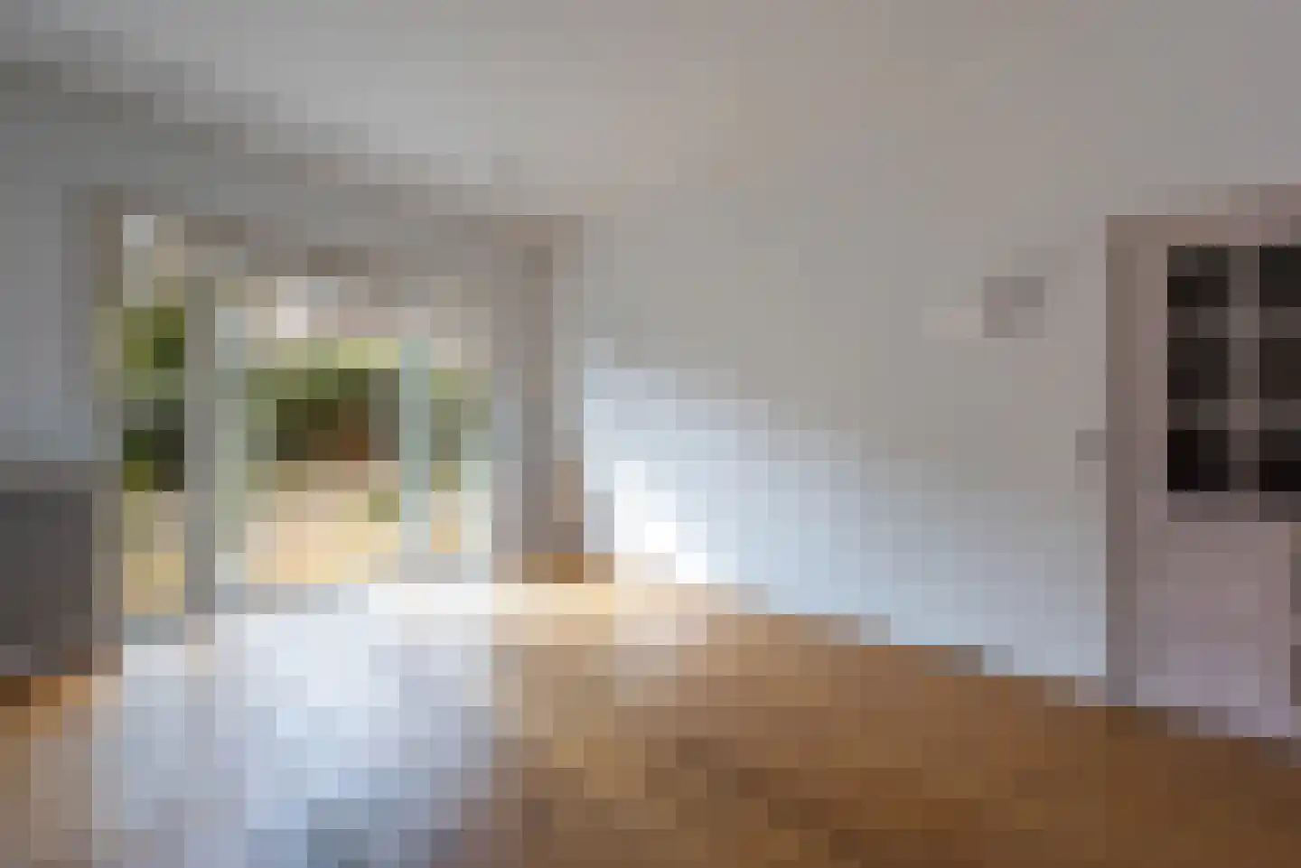 Amstelkade 140 Amsterdam thumbnail 11