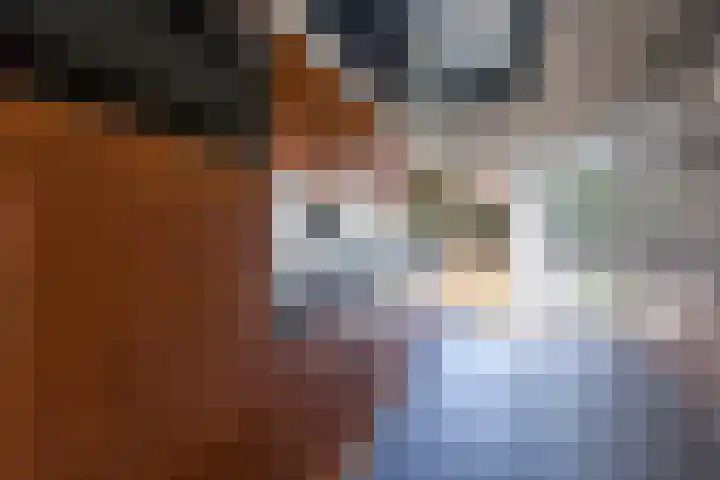 Amstelkade 140 Amsterdam thumbnail 13
