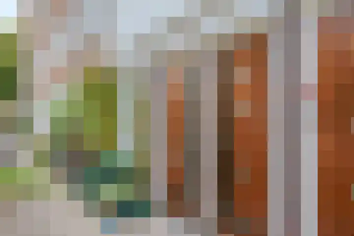 Amstelkade 16 3 Amsterdam thumbnail 6