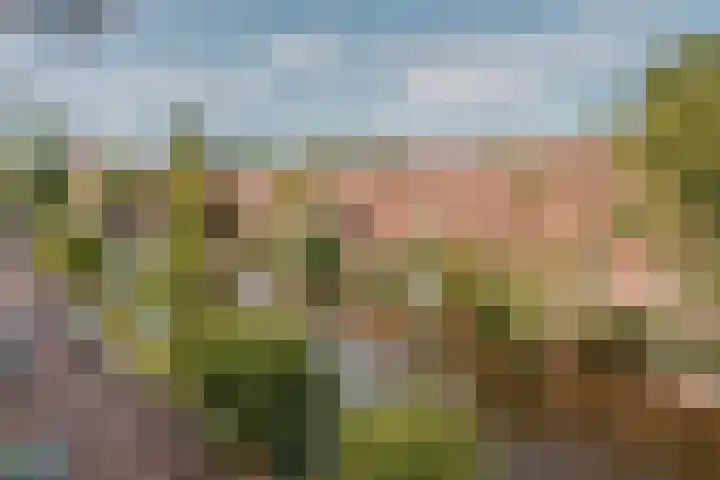 Amstelkade 16 4 Amsterdam thumbnail 22
