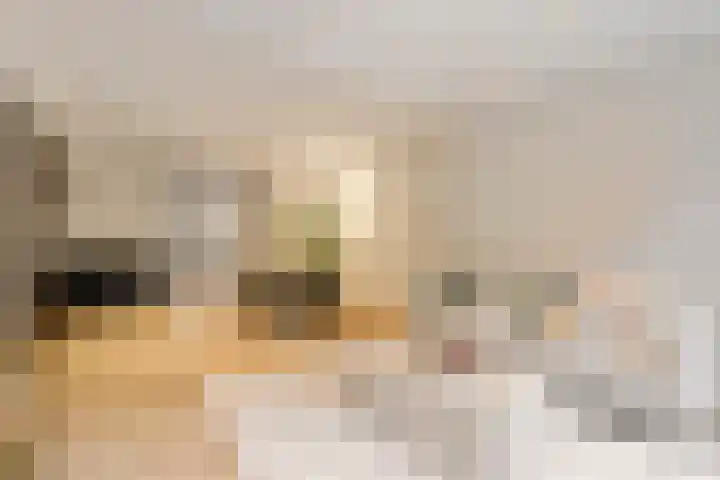 Amstelkade 17 1 Amsterdam thumbnail 11