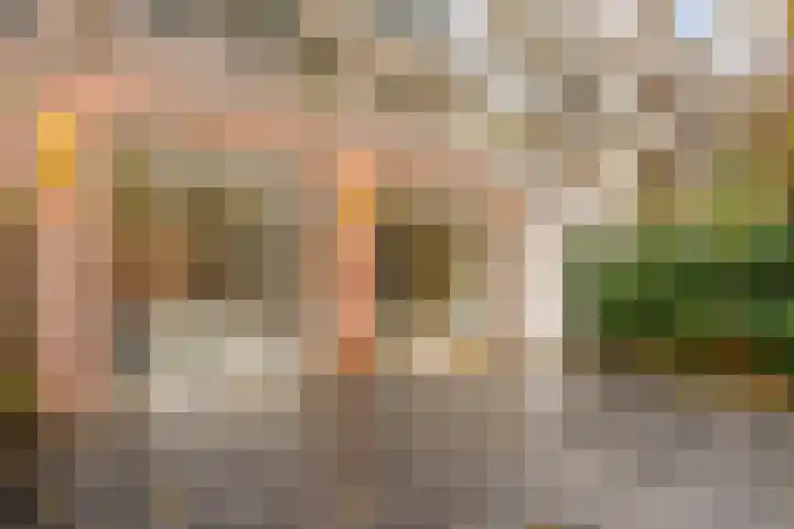 Amstelkade 17 1 Amsterdam thumbnail 13