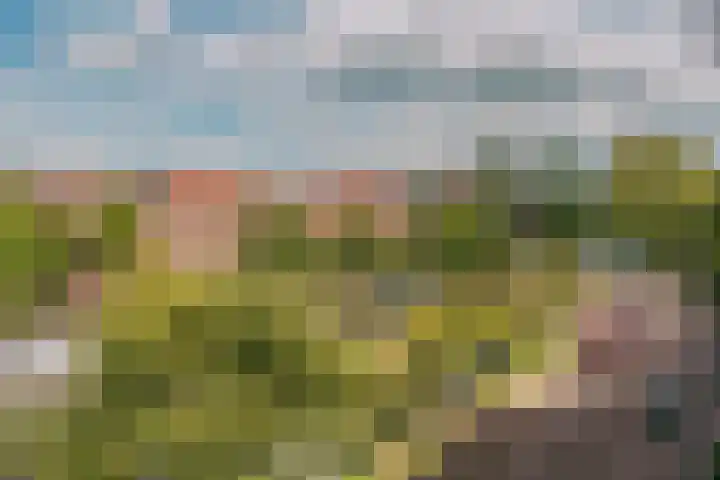 Amstelkade 17 H Amsterdam thumbnail 21