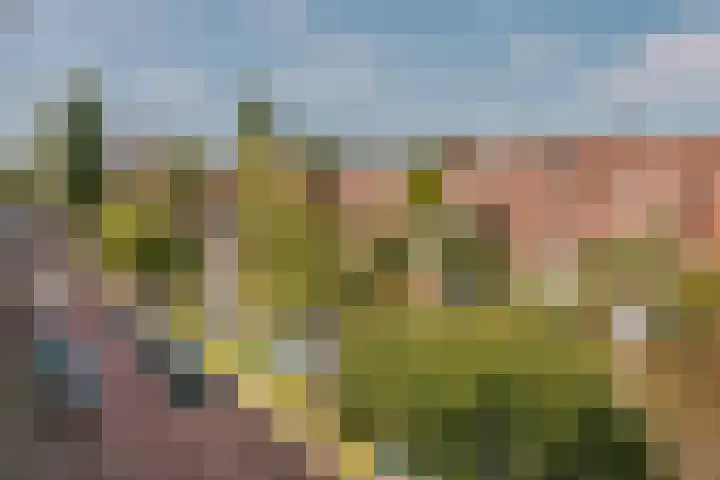 Amstelkade 17 H Amsterdam thumbnail 22