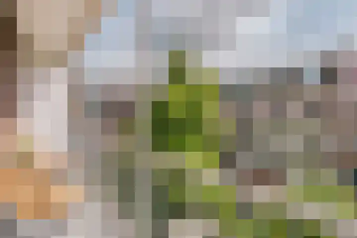 Amstelkade 17 H Amsterdam thumbnail 27
