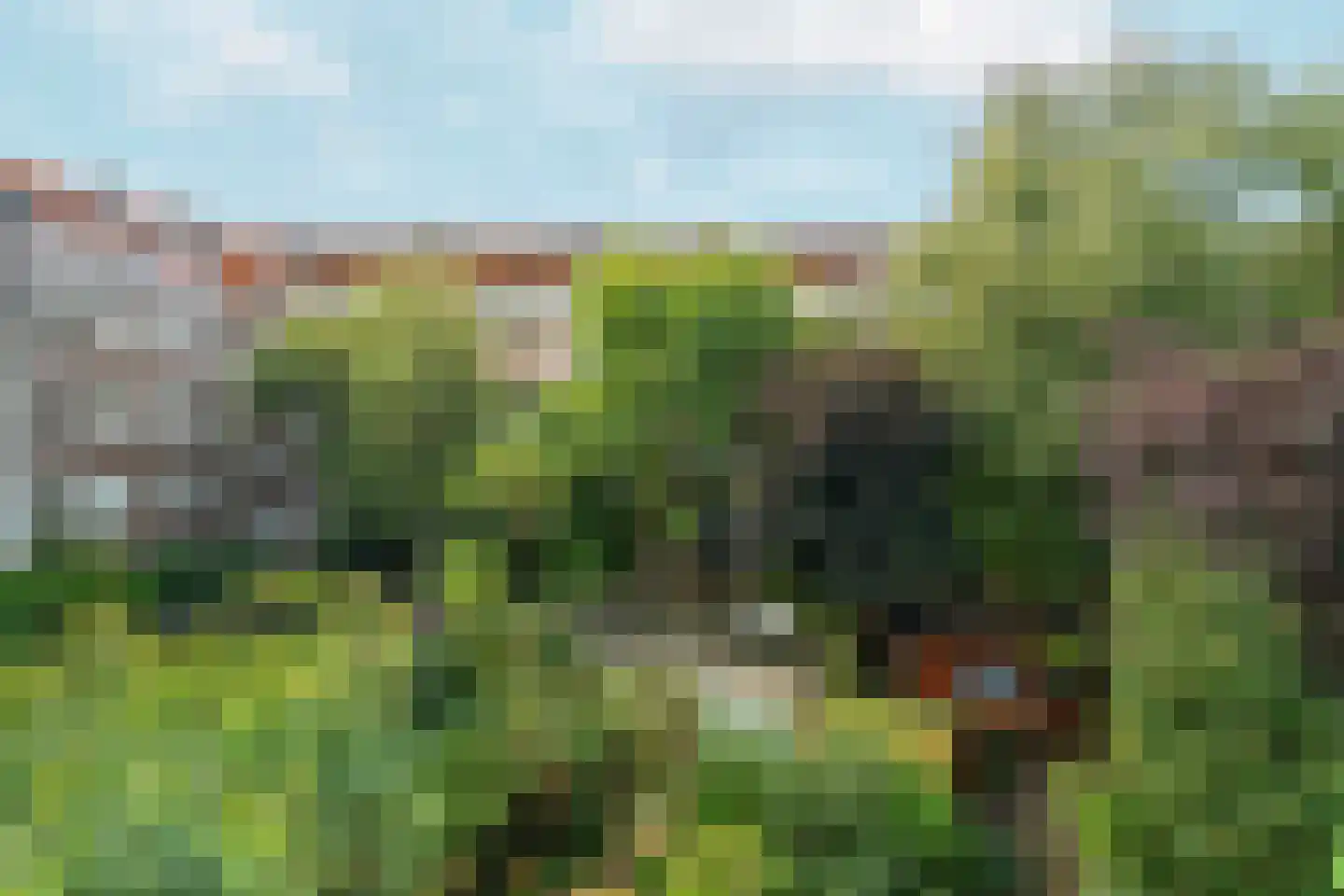 Amstelkade 175 2 Amsterdam thumbnail 17
