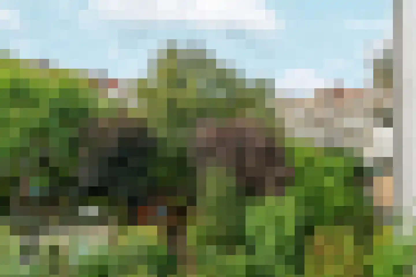 Amstelkade 175 2 Amsterdam thumbnail 18