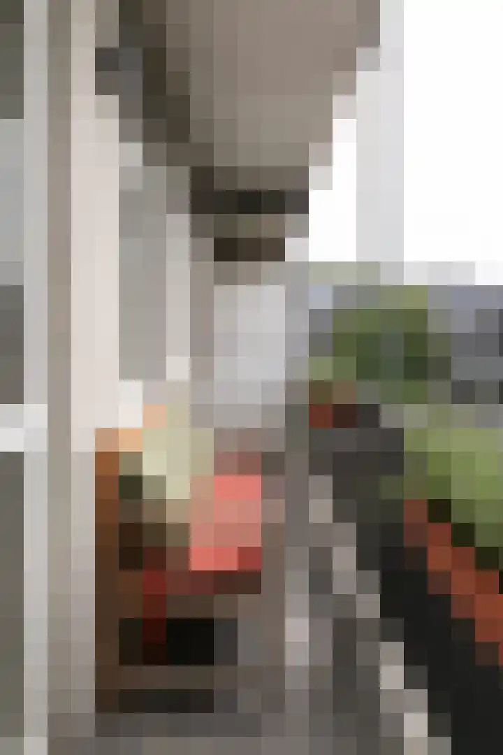 Amstelkade 21 H Amsterdam thumbnail 24