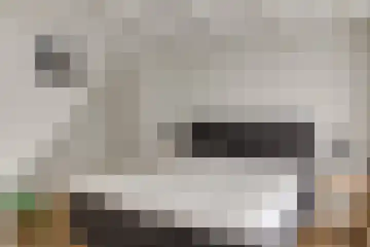 Amstelkade 21 H Amsterdam thumbnail 34