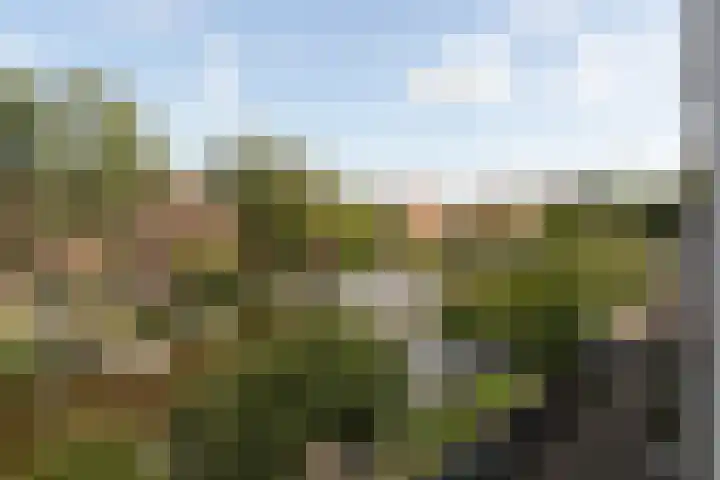 Amstelkade 21 H Amsterdam thumbnail 47