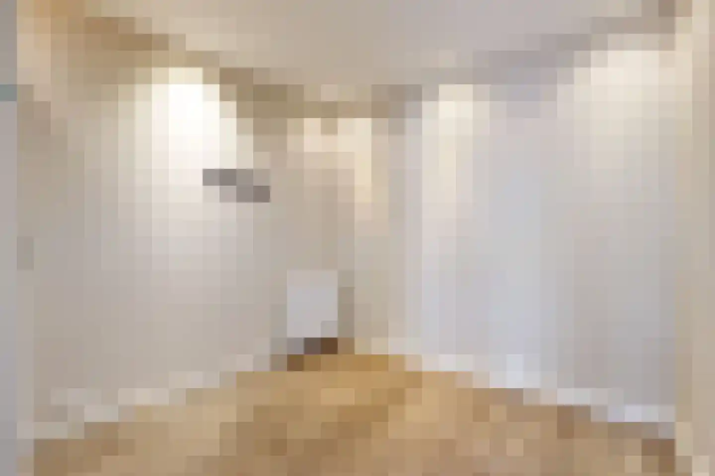 Amstelkade 34 Amstelhoek thumbnail 45