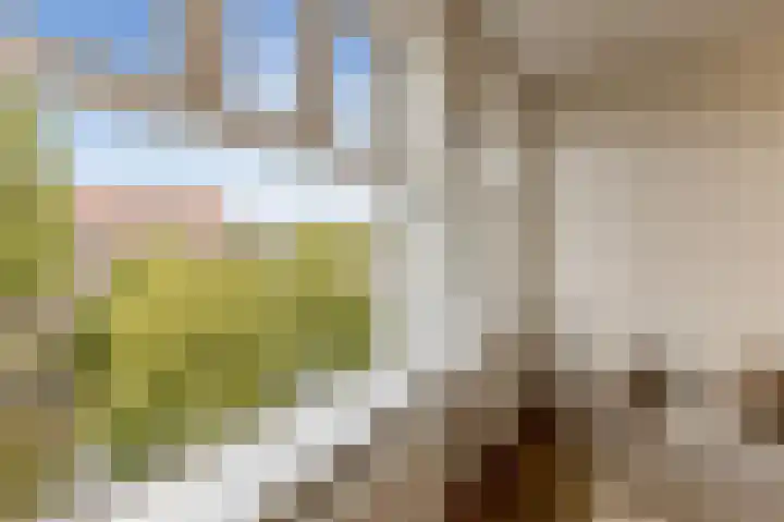 Amstelkade 4 3 Amsterdam thumbnail 13