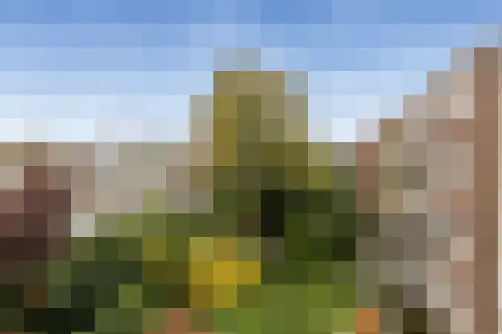 Amstelkade 4 3 Amsterdam thumbnail 26