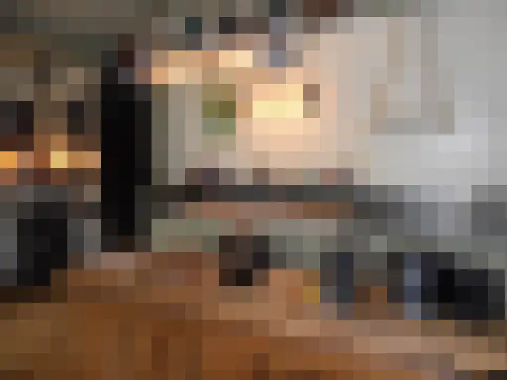 Amstelkade 41 Wilnis thumbnail 5
