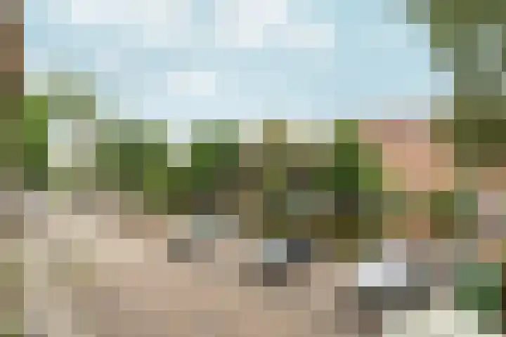 Amstelkade 50 2 Amsterdam thumbnail 19
