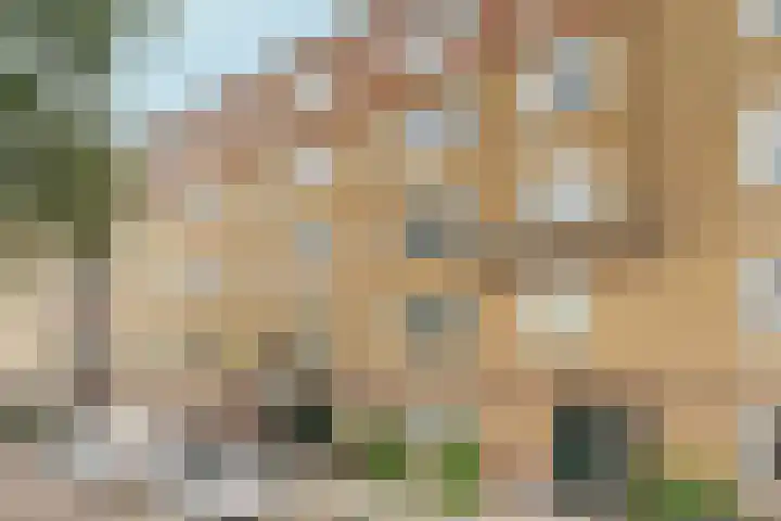 Amstelkade 50 2 Amsterdam thumbnail 23