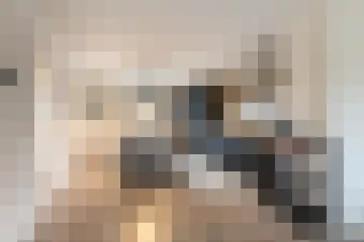 Amstelkade 51 4 Amsterdam thumbnail 9