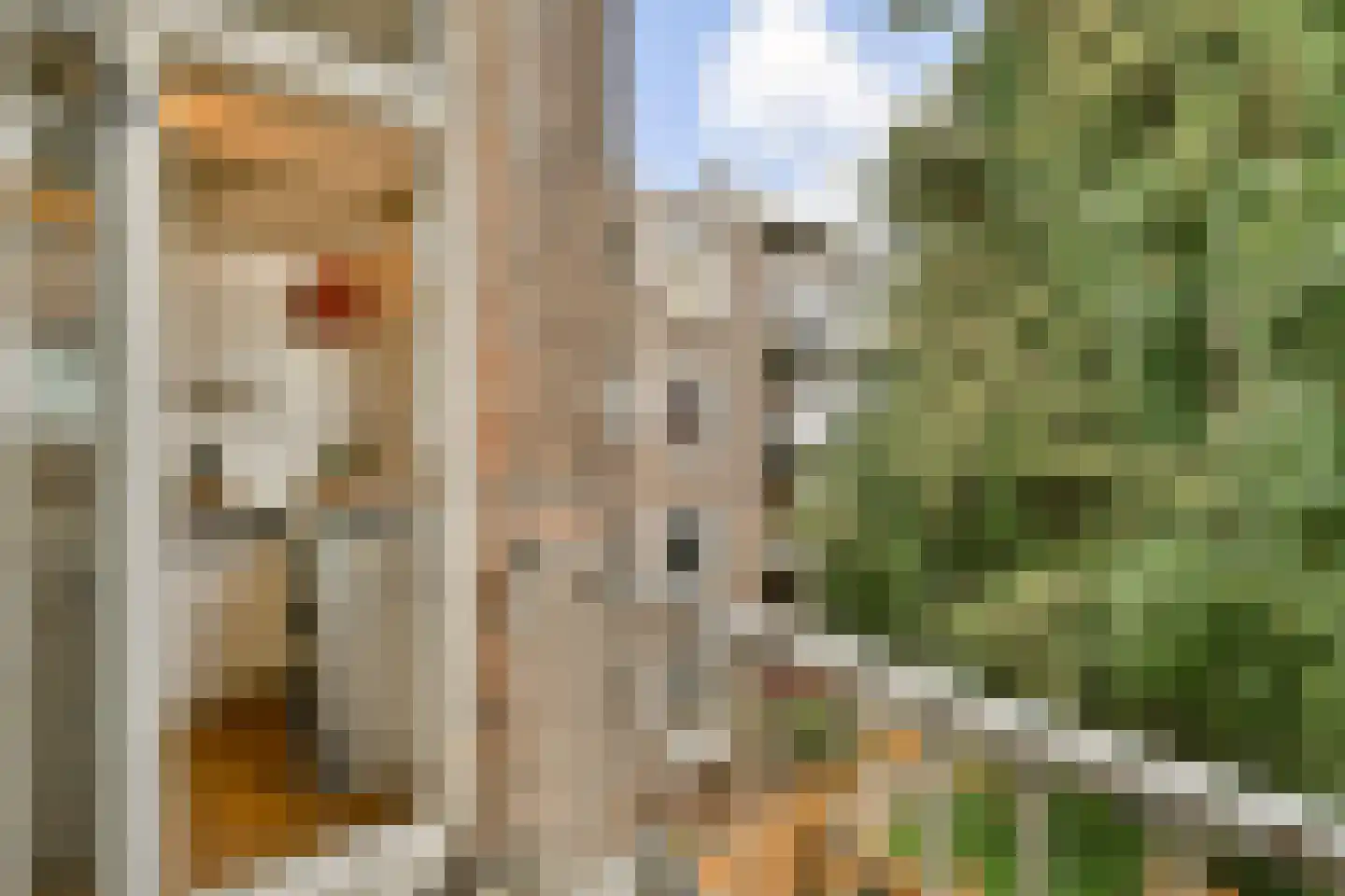 Amstelkade 54 2 Amsterdam thumbnail 13
