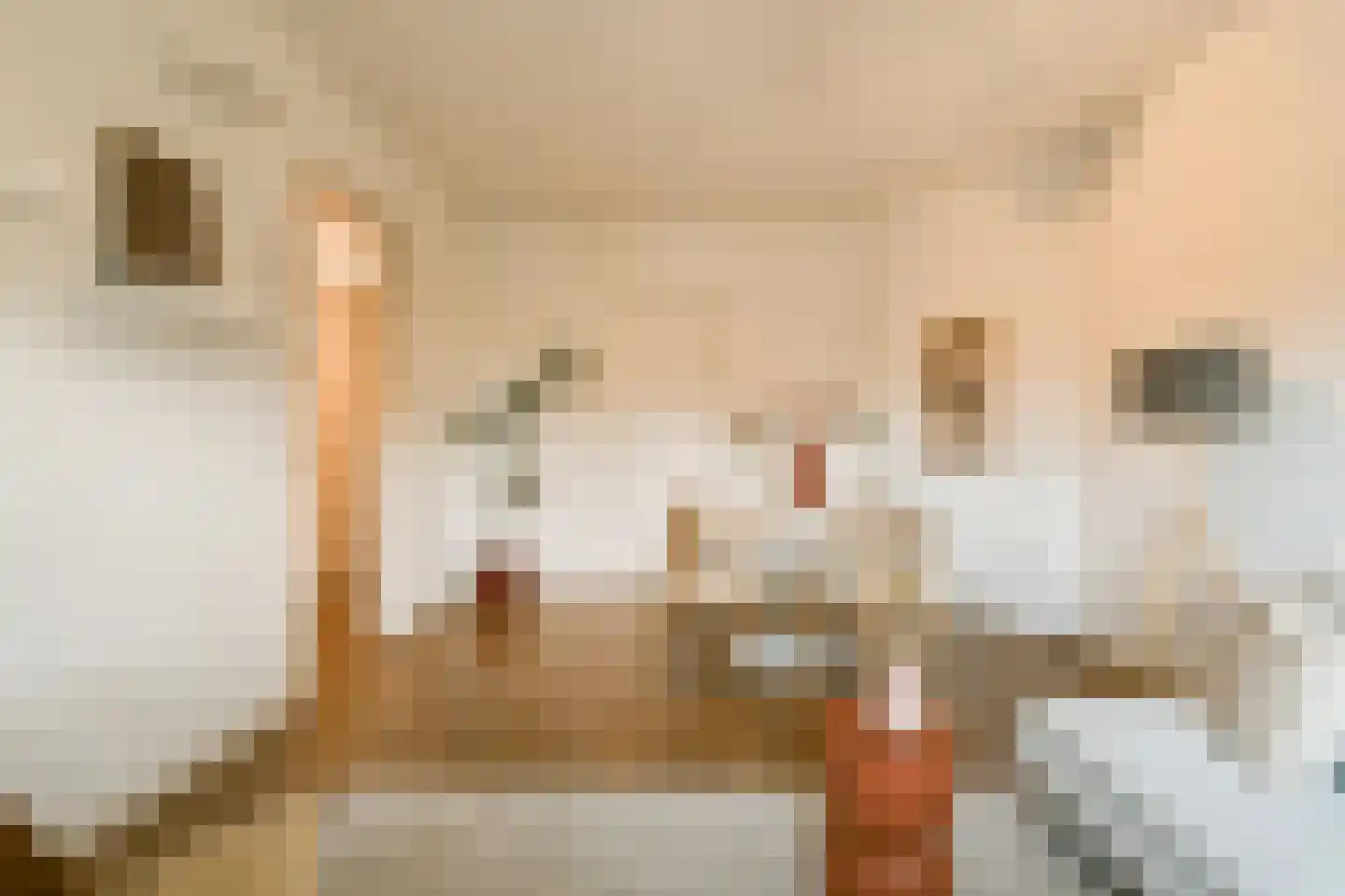 Amstelkade 54 2 Amsterdam thumbnail 7