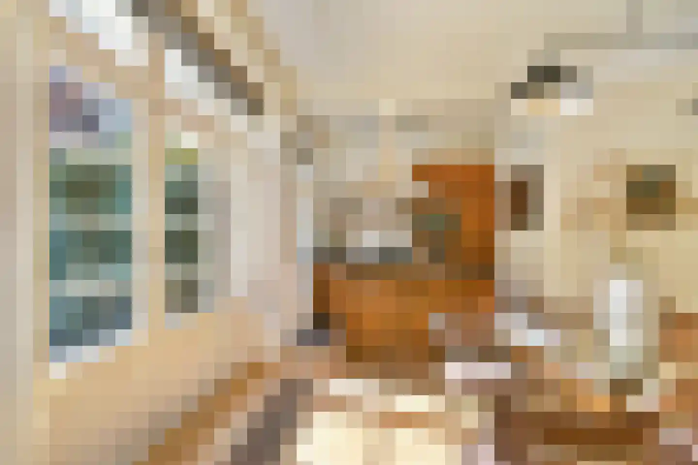 Amstelkade 59 H Amsterdam thumbnail 7