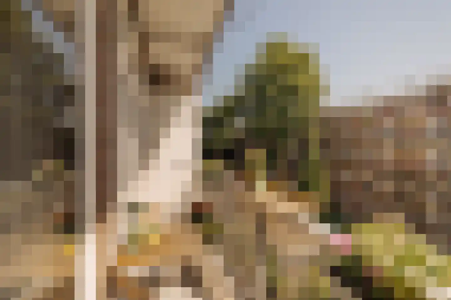 Amstelkade 62 3 Amsterdam thumbnail 18