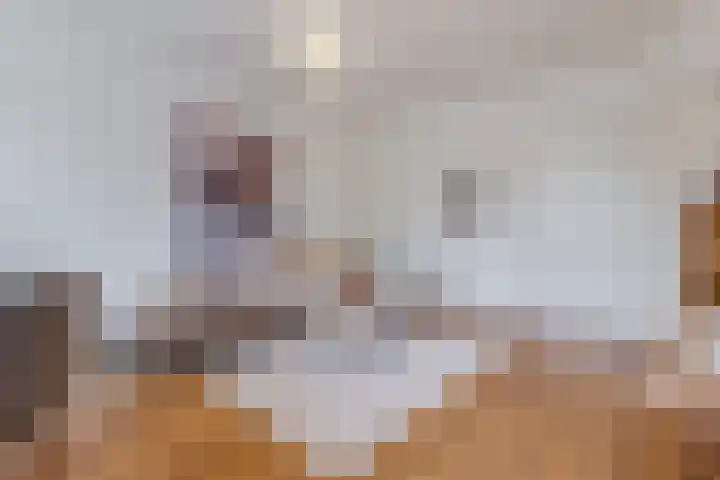 Amstelkade 63 3 Amsterdam thumbnail 9