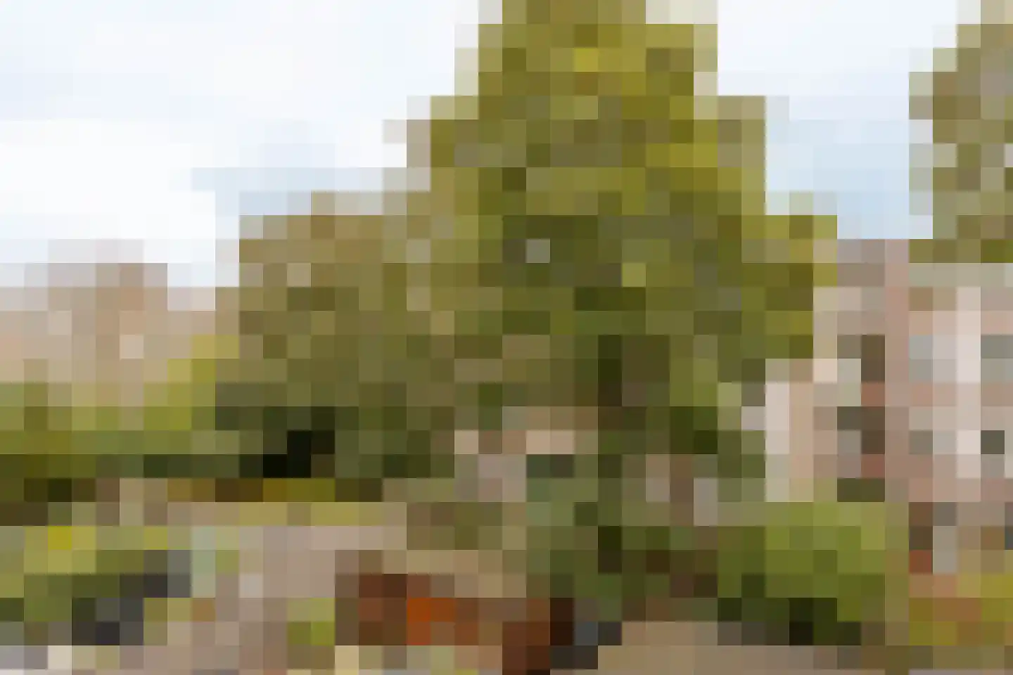 Amstelkade 78 2 Amsterdam thumbnail 12