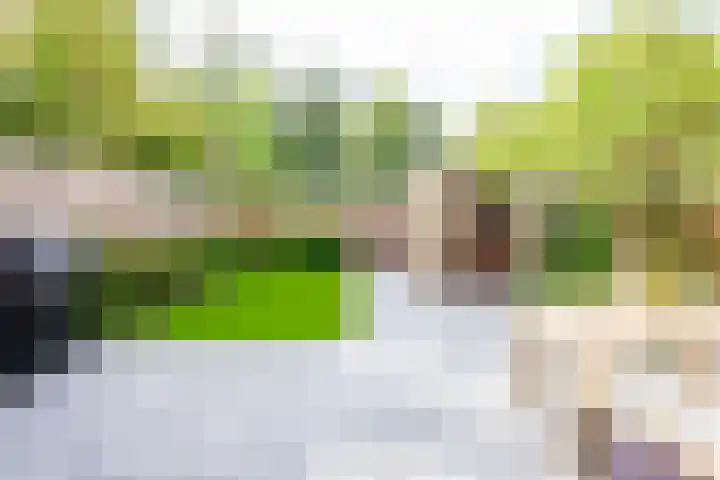 Amstellaan 19 Heemstede thumbnail 18