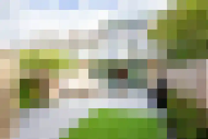 Amstellaan 19 Heemstede thumbnail 19