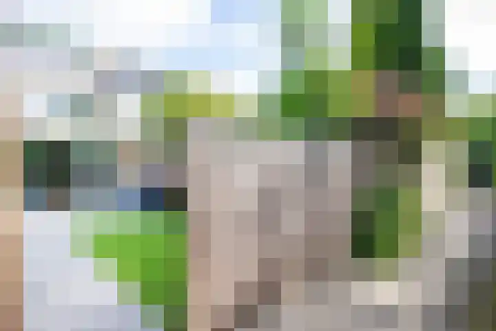 Amstellaan 19 Heemstede thumbnail 20