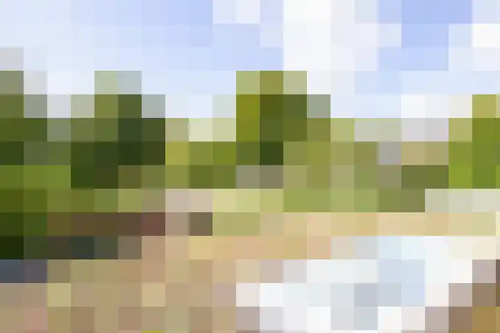 Amstellaan 19 Heemstede thumbnail 28