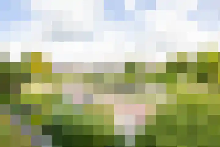 Amstellaan 19 Heemstede thumbnail 33