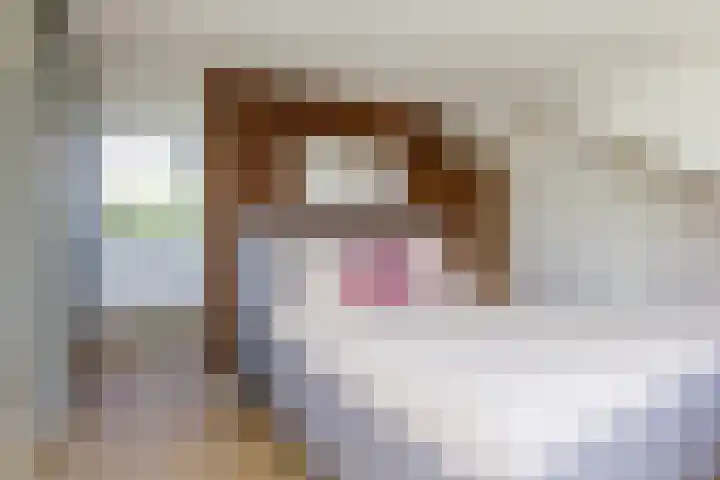 Amstellaan 19 Heemstede thumbnail 37