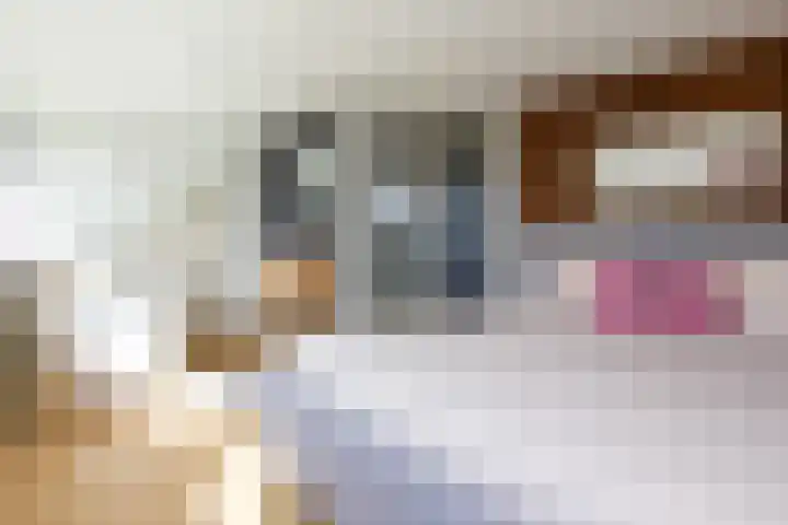 Amstellaan 19 Heemstede thumbnail 38