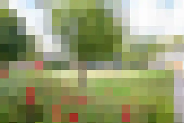 Amstellaan 19 Heemstede thumbnail 46