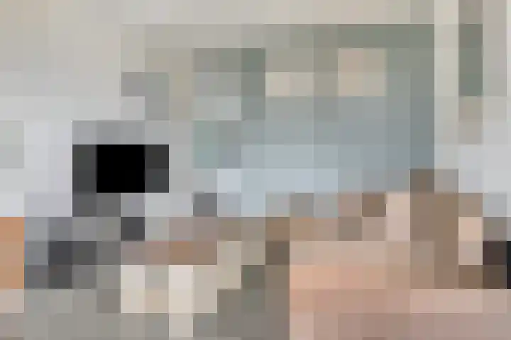 Amstellaan 21 Purmerend thumbnail 8