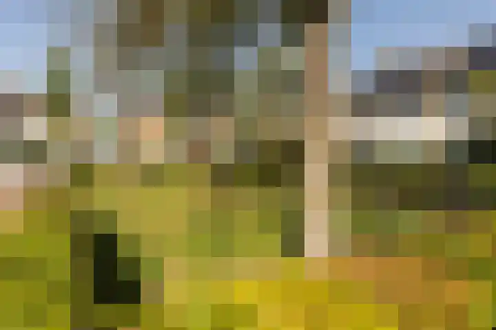 Amstellaan 4 Son en Breugel thumbnail 10