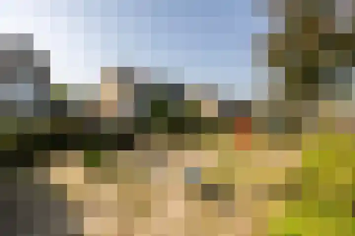 Amstellaan 4 Son en Breugel thumbnail 11