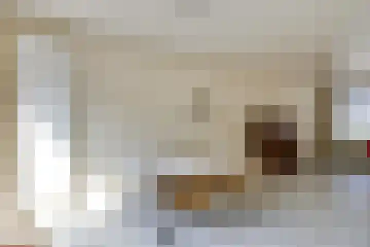 Amstellaan 4 Son en Breugel thumbnail 15