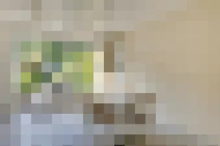 Amstellaan 4 Son en Breugel thumbnail 16