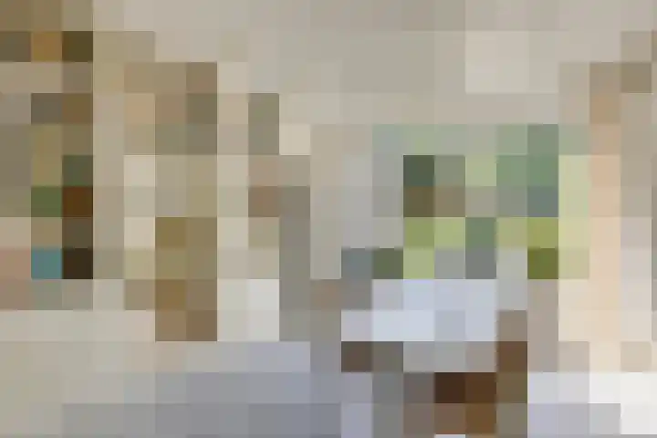 Amstellaan 4 Son en Breugel thumbnail 17